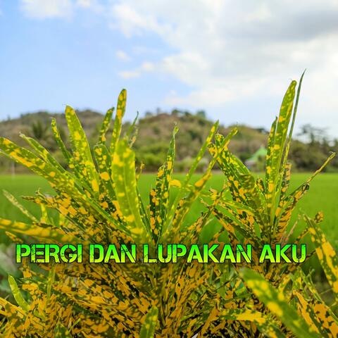 DJ PERGI DAN LUPAKAN AKU