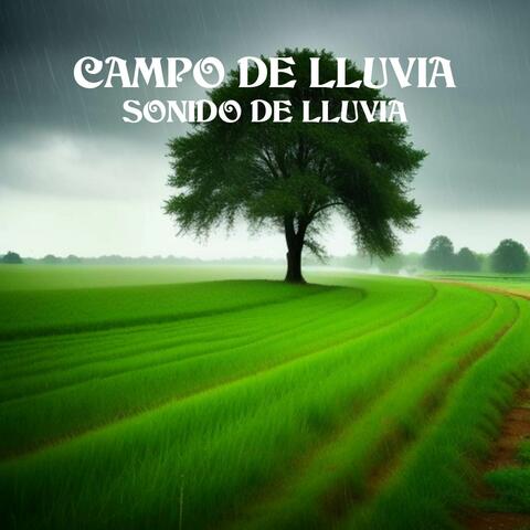 Campo de lluvia
