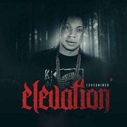 Elevation
