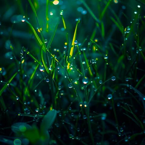 Relaxing Sleep Music - Soft Rain sleep - Piano Chill