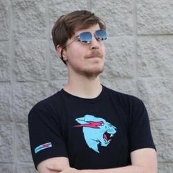MrBeast Diss