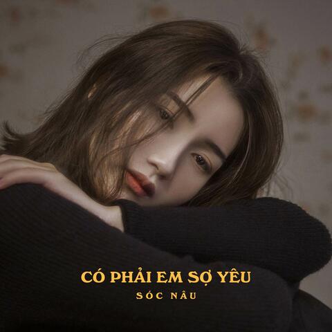Có Phải Em Sợ Yêu