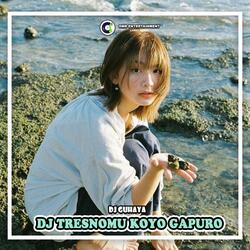 DJ Tresnomu Koyo Gapuro