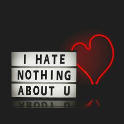 I Hate Nothing About You