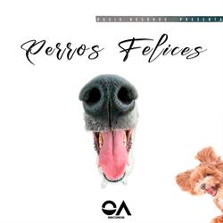 Amigos y un perro