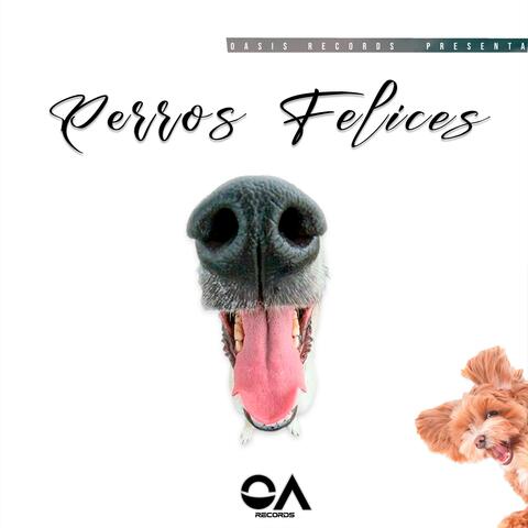 Perros Felices