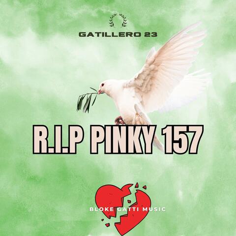 R.I.P Pinky 157