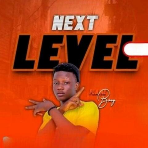 Next Level