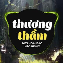 Thương Thầm (Remix)