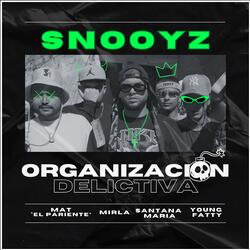 Organización Delictiva