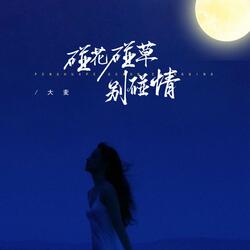 碰花碰草别碰情