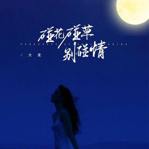 碰花碰草别碰情