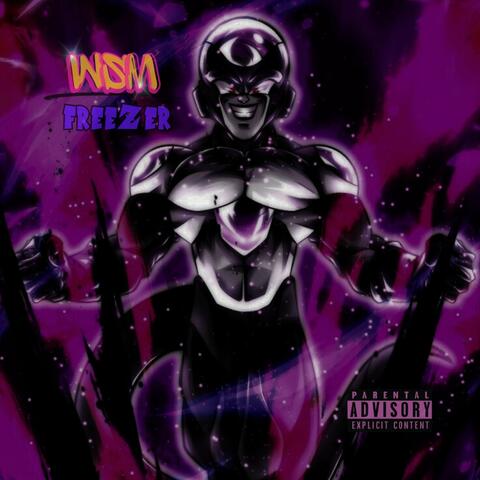Freezer