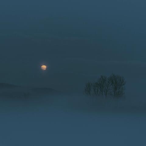 just fog