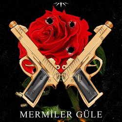 Mermiler Güle