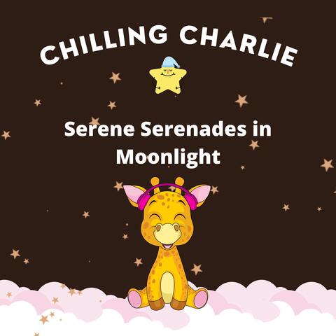 Serene Serenades in Moonlight