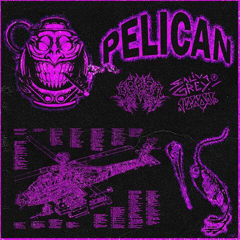 PELICAN