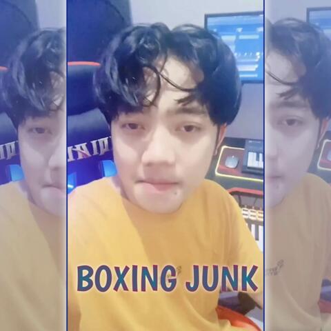 BOXING JUNK