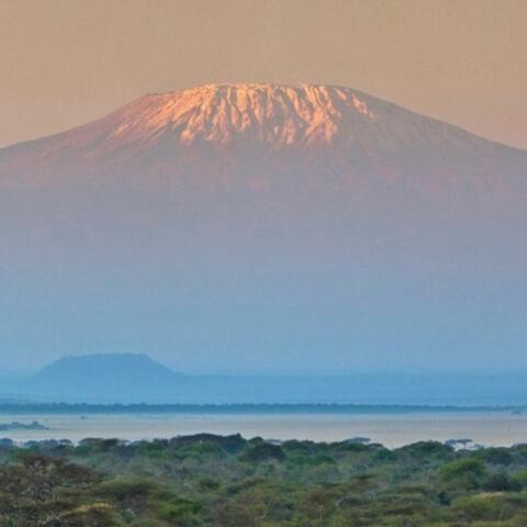 Kilimanjaro
