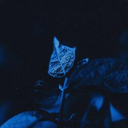 Silent Hour