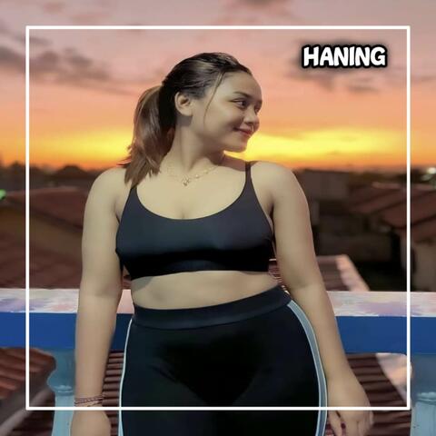 DJ Haning