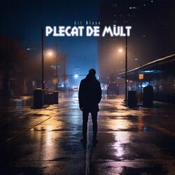 Plecat De Mult