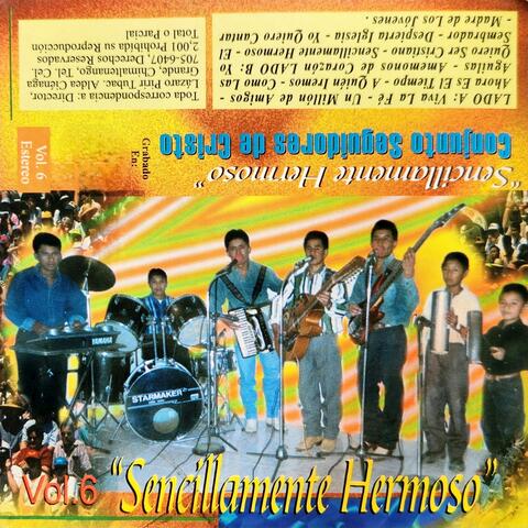 Sencillamente Hermoso Vol. 6