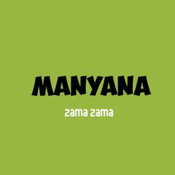 Zama zama
