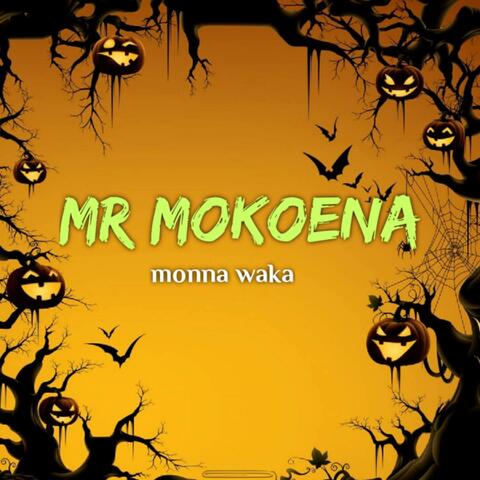 Monna waka