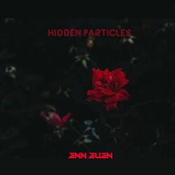 Hidden Particles