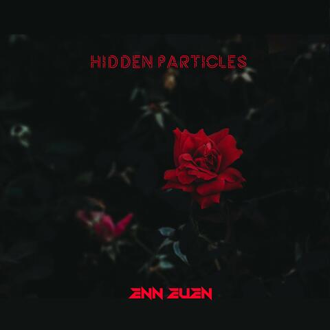 Hidden Particles