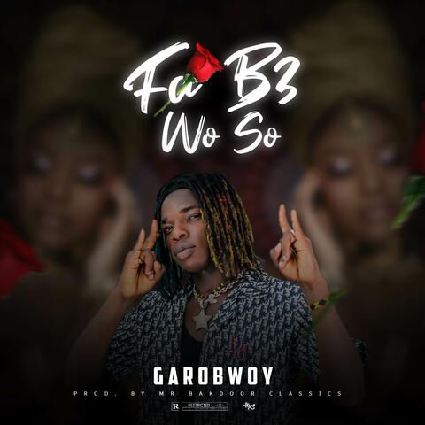 Fa B3 Wo So