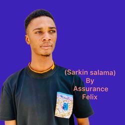 Sarkin salama