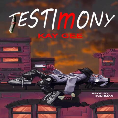 Testimony