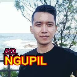 Ayo Ngupil