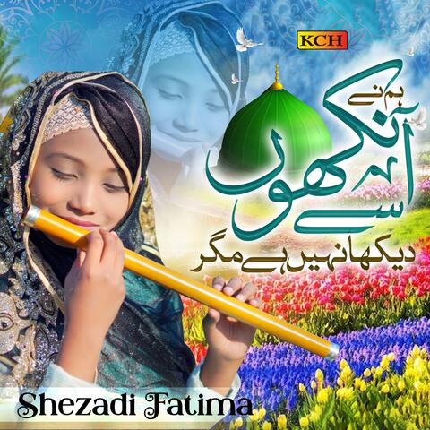 Hum Ne Ankhon Sy Dekha Nahi Hy
