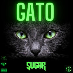 Gato