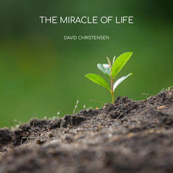 The Miracle of Life