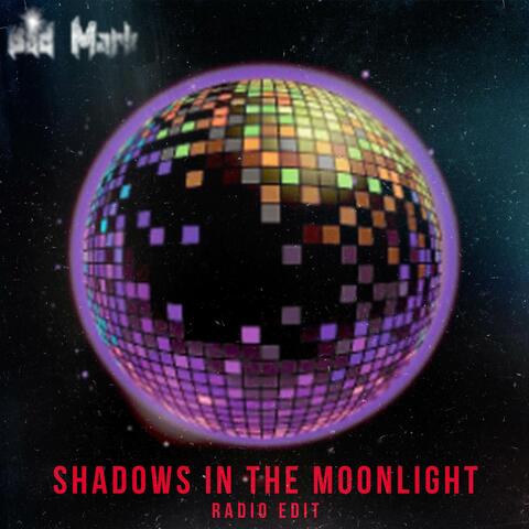 Shadows in the Moonlight