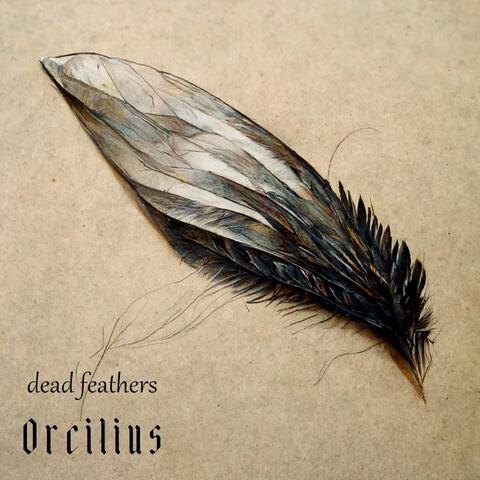 Dead Feathers