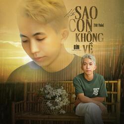 Sao Con Không Về (Tết Thảo)