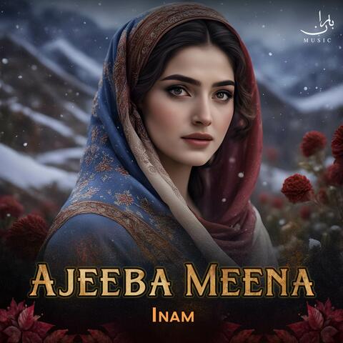 Ajeeba Meena