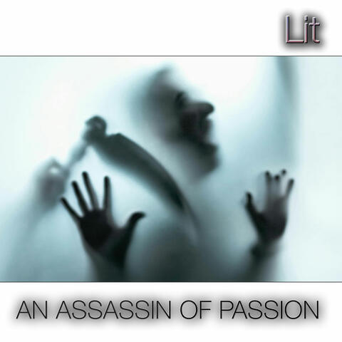 AN ASSASSIN OF PASSION