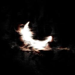 moonlight