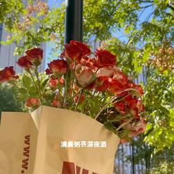 清晨粥赛深夜酒