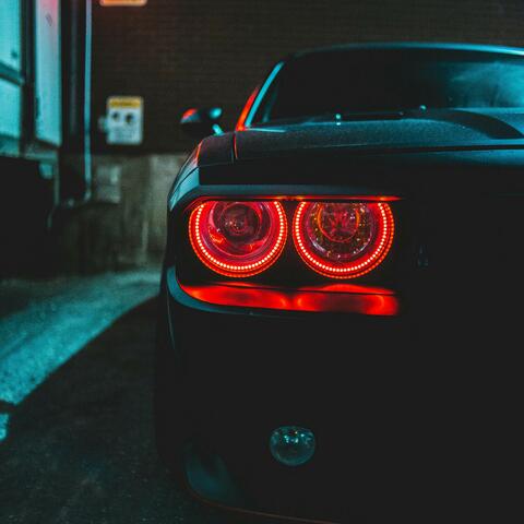 All Damn
