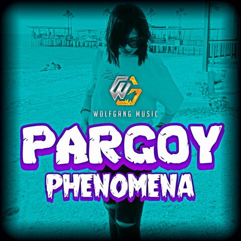 Pargoy Next Level