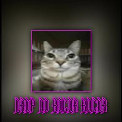 DROP NO BOCOR BOCOR