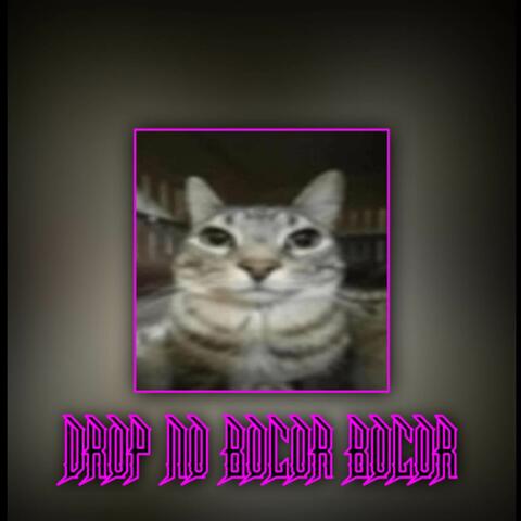 DROP NO BOCOR BOCOR