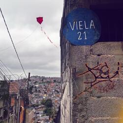 Viela 21